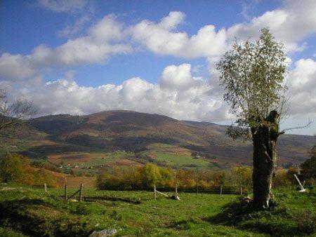 Villa Le Colombier d'Amalthée Vernay Esterno foto